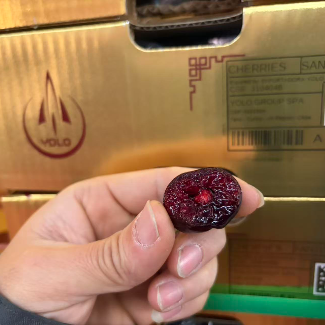 智利海运车厘子桑提娜2JD/5斤桑提娜智利