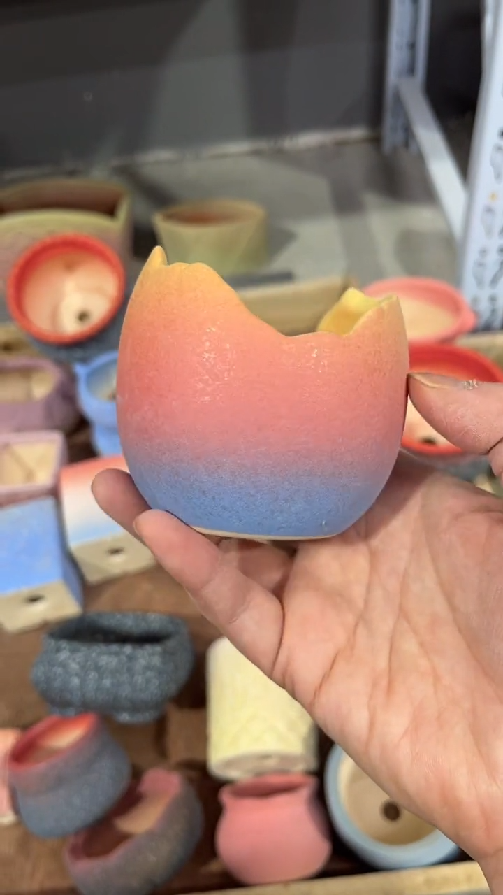 【闪购商品】红陶7*6