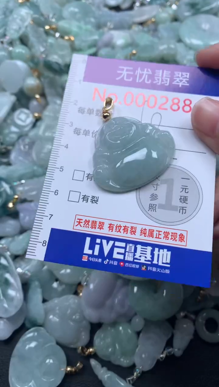 颈饰未镶嵌翡翠2884