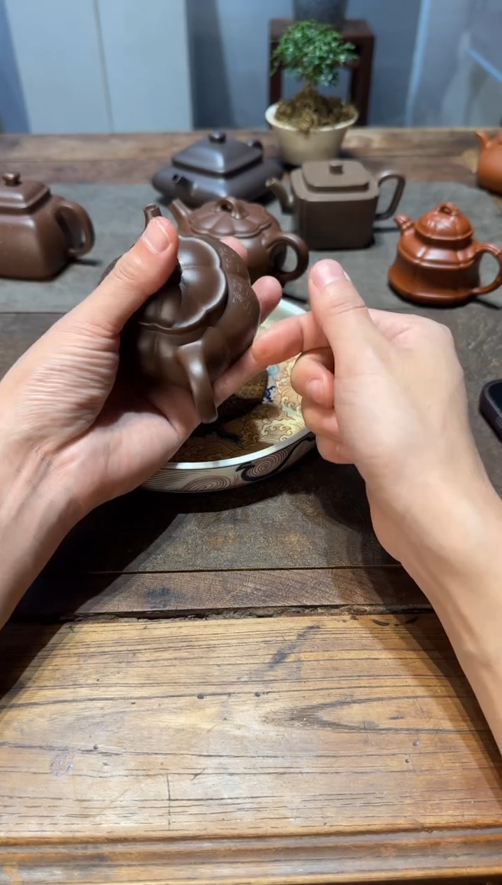 茶壶紫砂缘*秋大鱼海棠