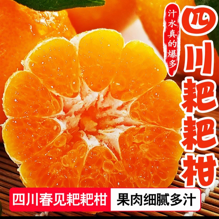 精品四川蒲江精品带箱5-9耙耙柑新鲜应季现采现发
