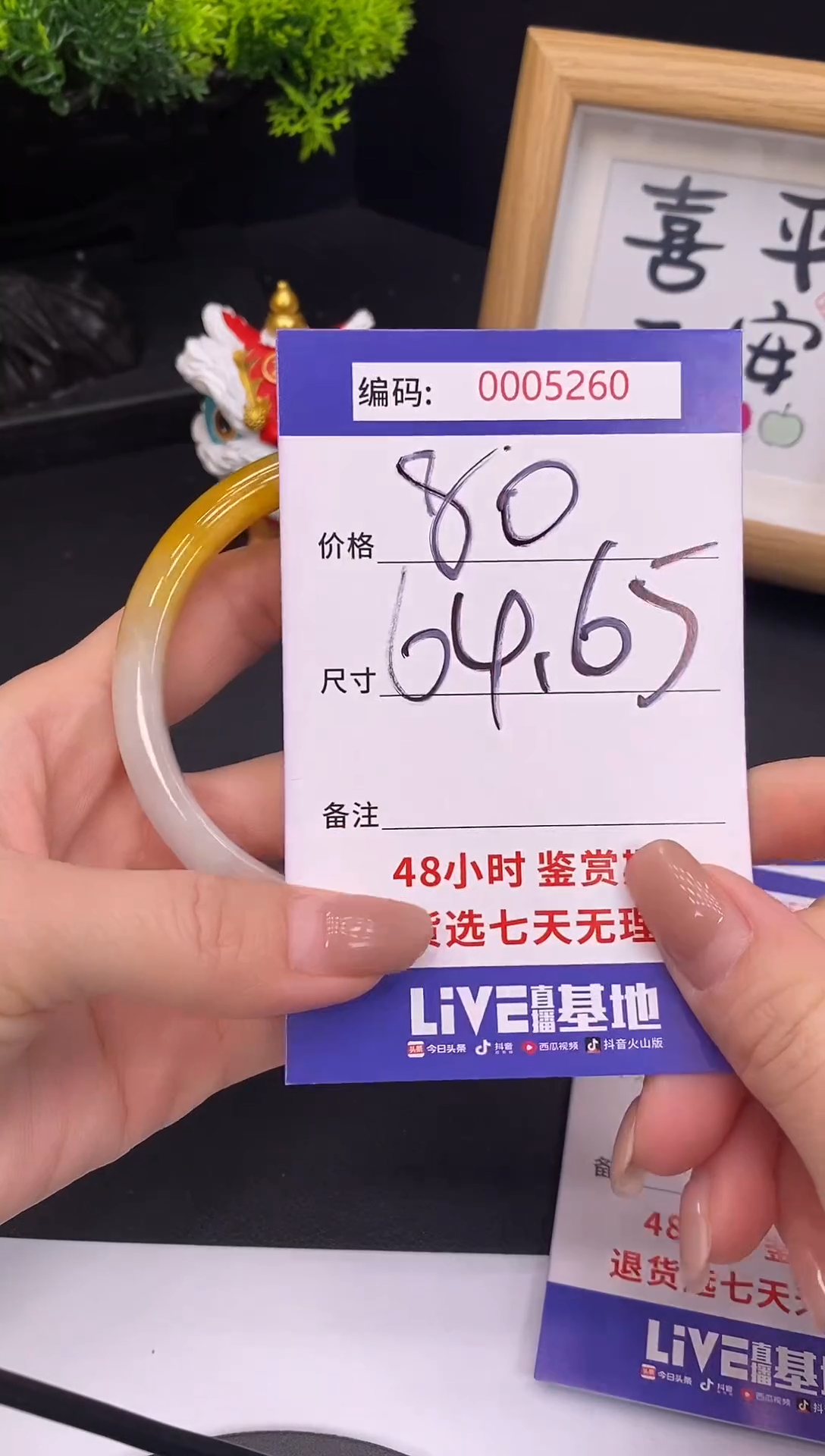 未镶嵌手镯翡翠0005260