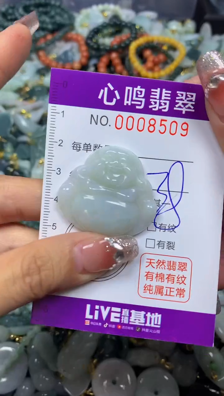 【闪购商品】翡翠颈饰未镶嵌闪购008509