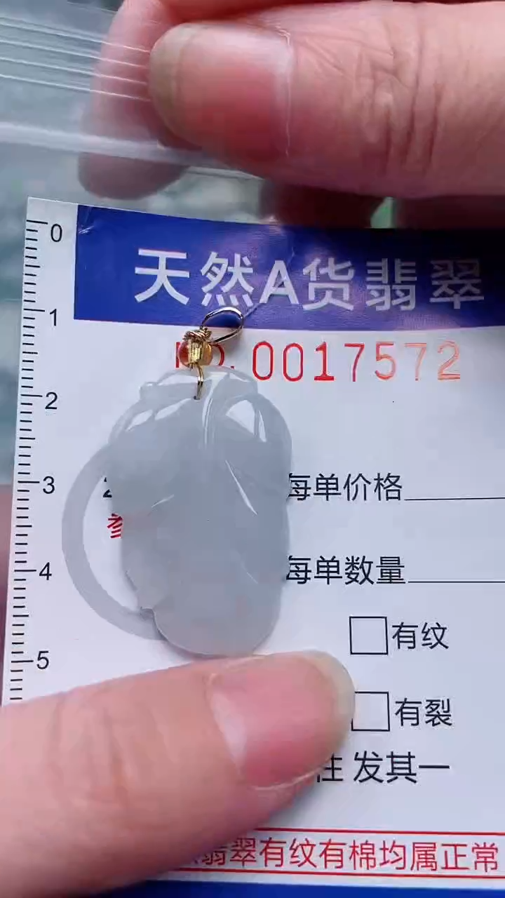 翡翠未镶嵌吊坠(赠链)1