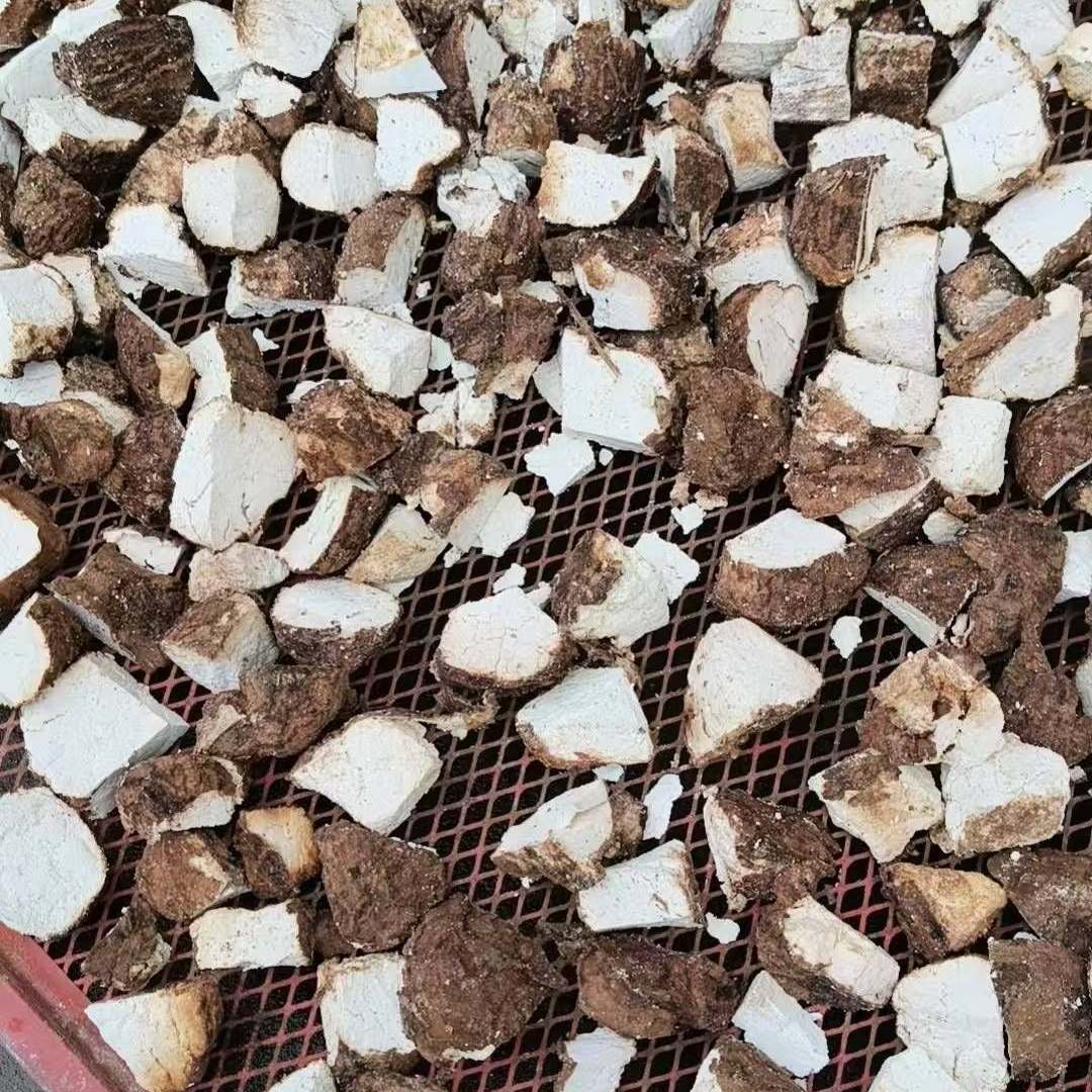 带皮茯苓块自然晾晒无异味