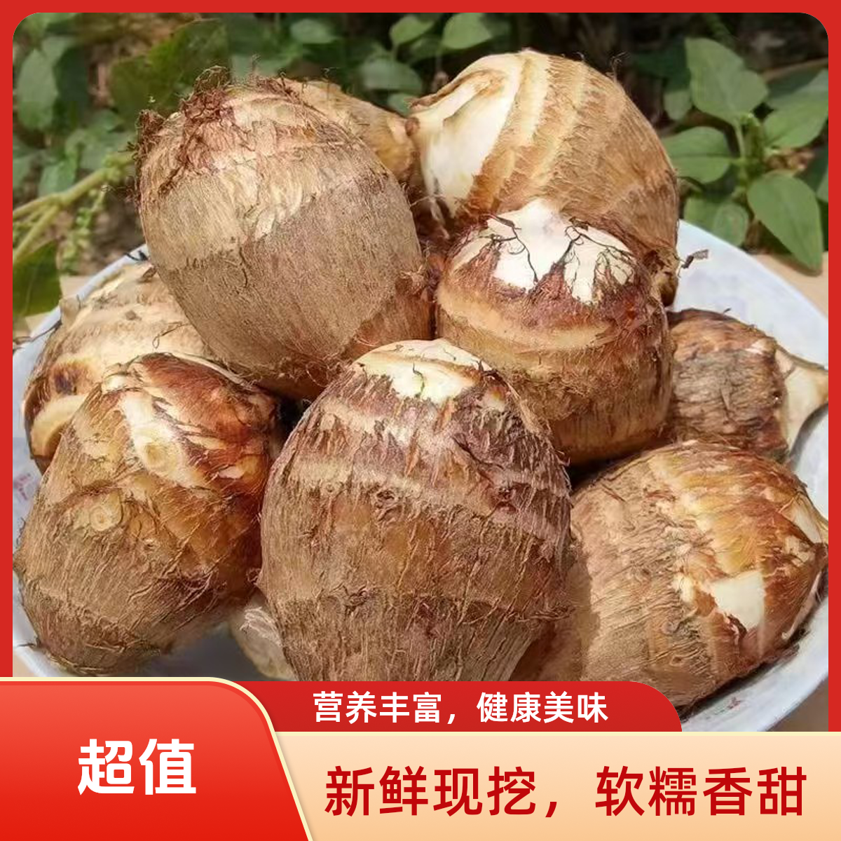 山东5伒正宗新鲜奶香香糯毛芋头香甜细腻当季芋头现挖现发