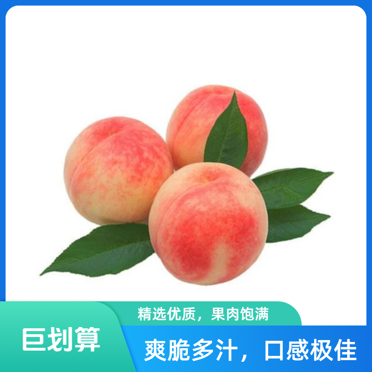 毛桃三斤山西省