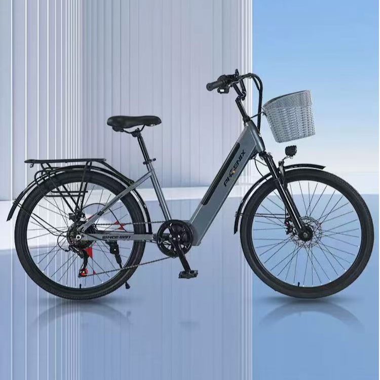Phoenix/凤凰-FD2锂电池助力长短途骑行超长续航电动车