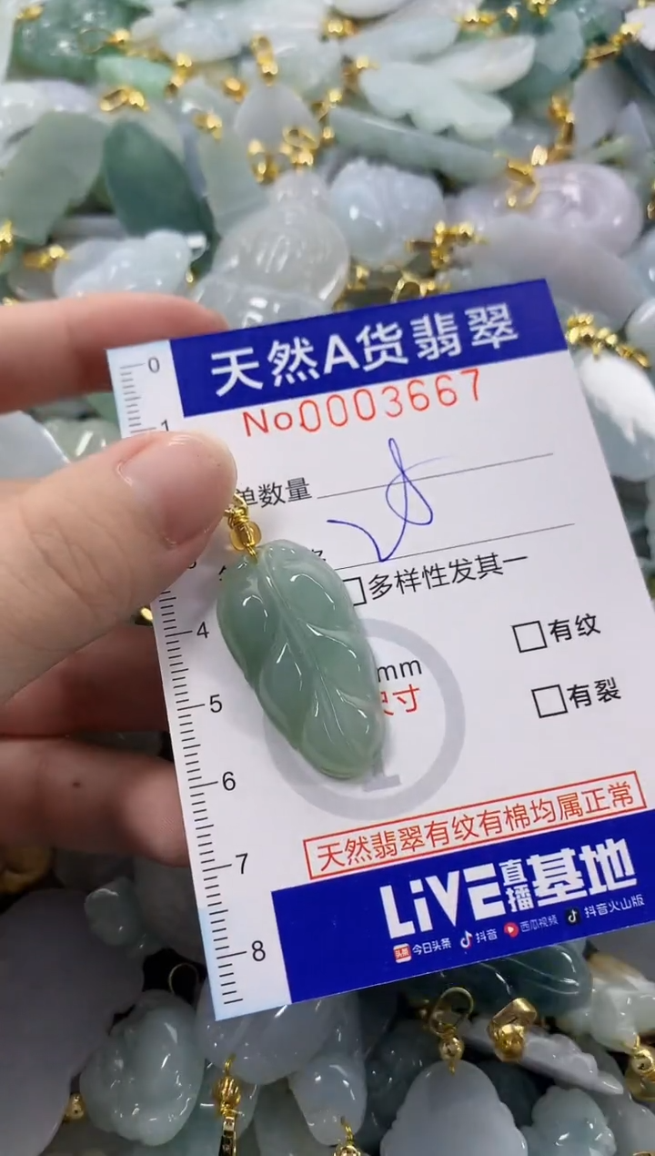 颈饰未镶嵌翡翠天然A货翡翠