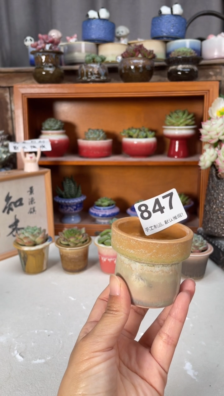 瓷片847小芳直播编号