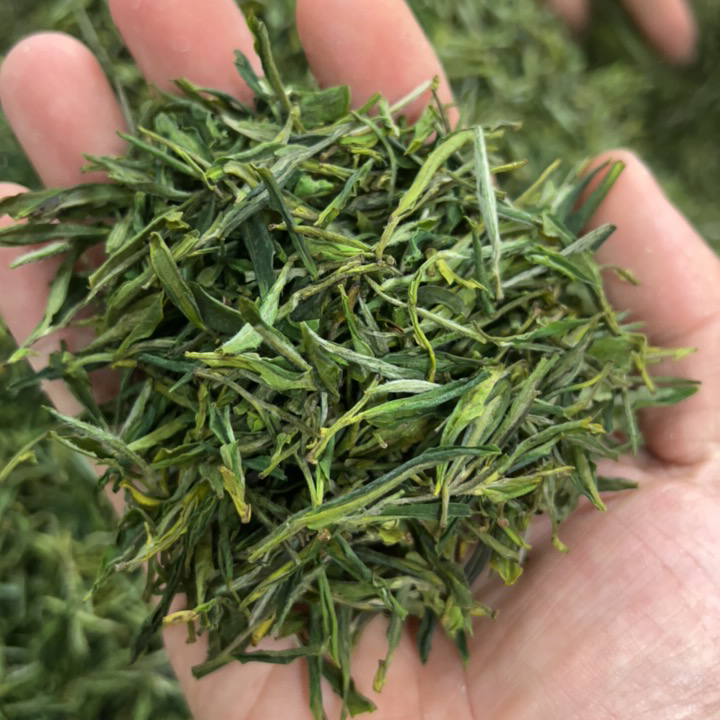 (亏本款)2025年春季新茶舒城小兰花绿茶明前茶，