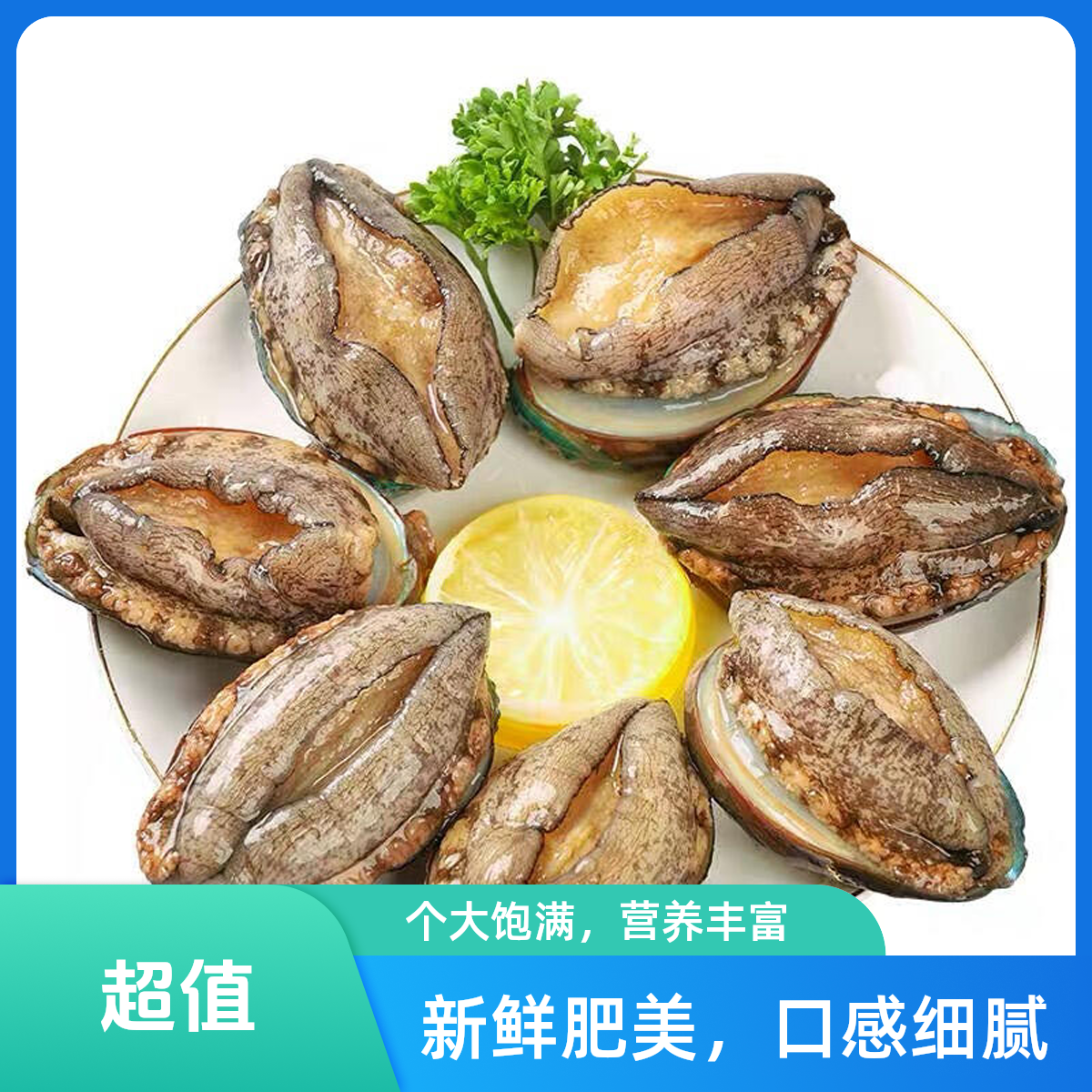 【鲜活贝类】鲜活8头鲍鱼11元/个(8个起送)