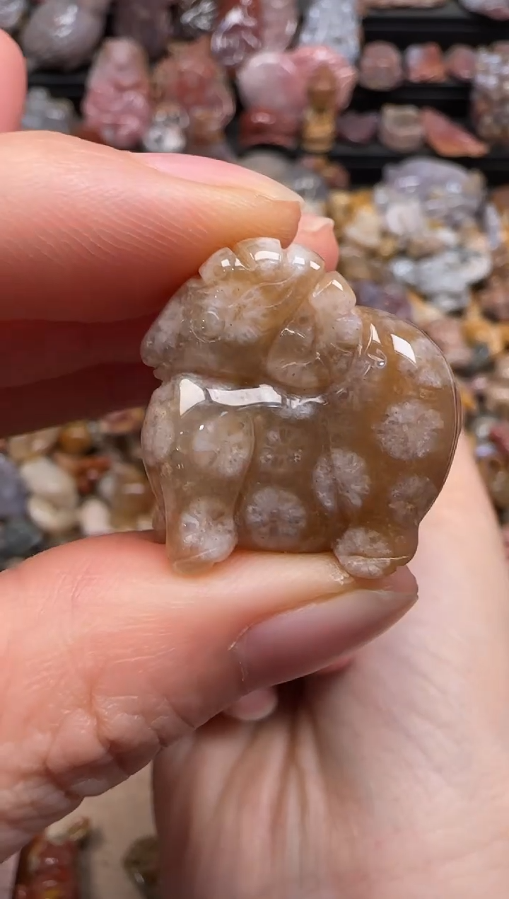 【闪购商品】硅化珊瑚（珊瑚玉）颈饰未镶嵌044