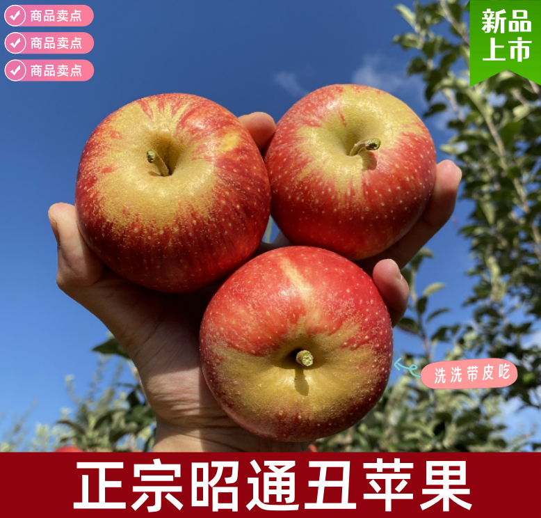 正宗云南昭通冰糖心丑苹果当季新鲜水果原产地现摘现发5/10斤净重