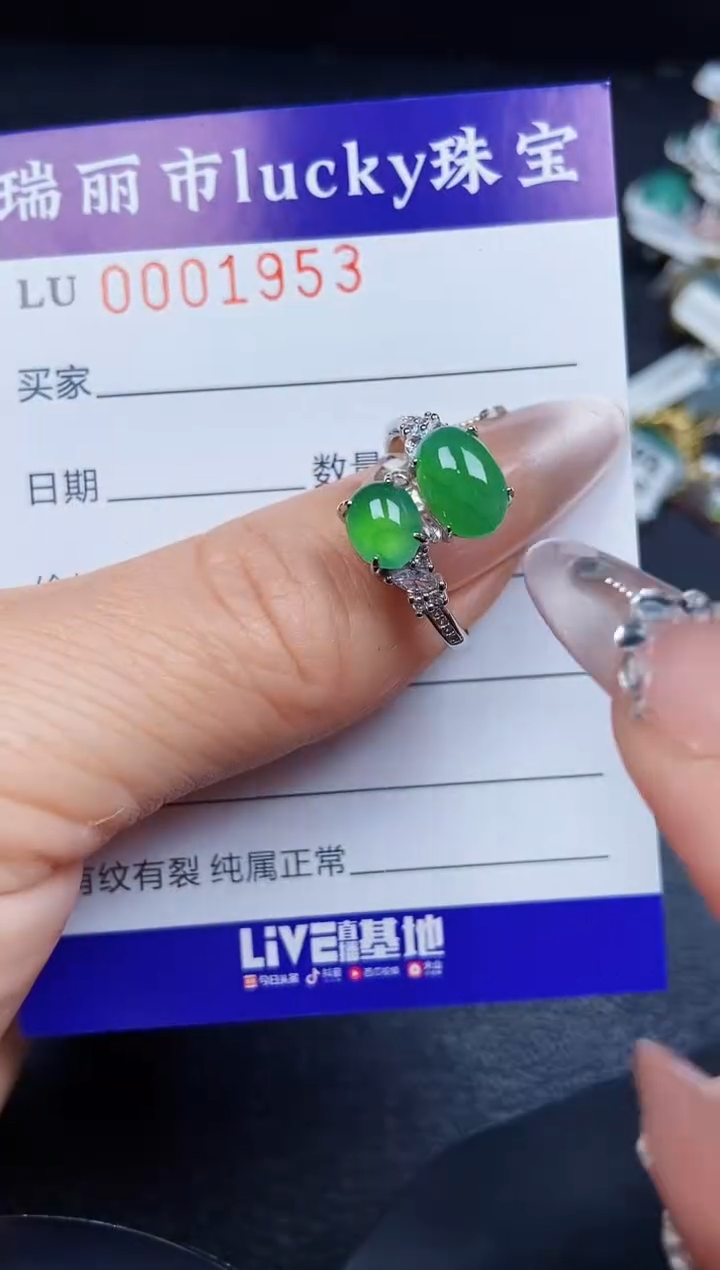 翡翠银S925镶嵌颈饰1953