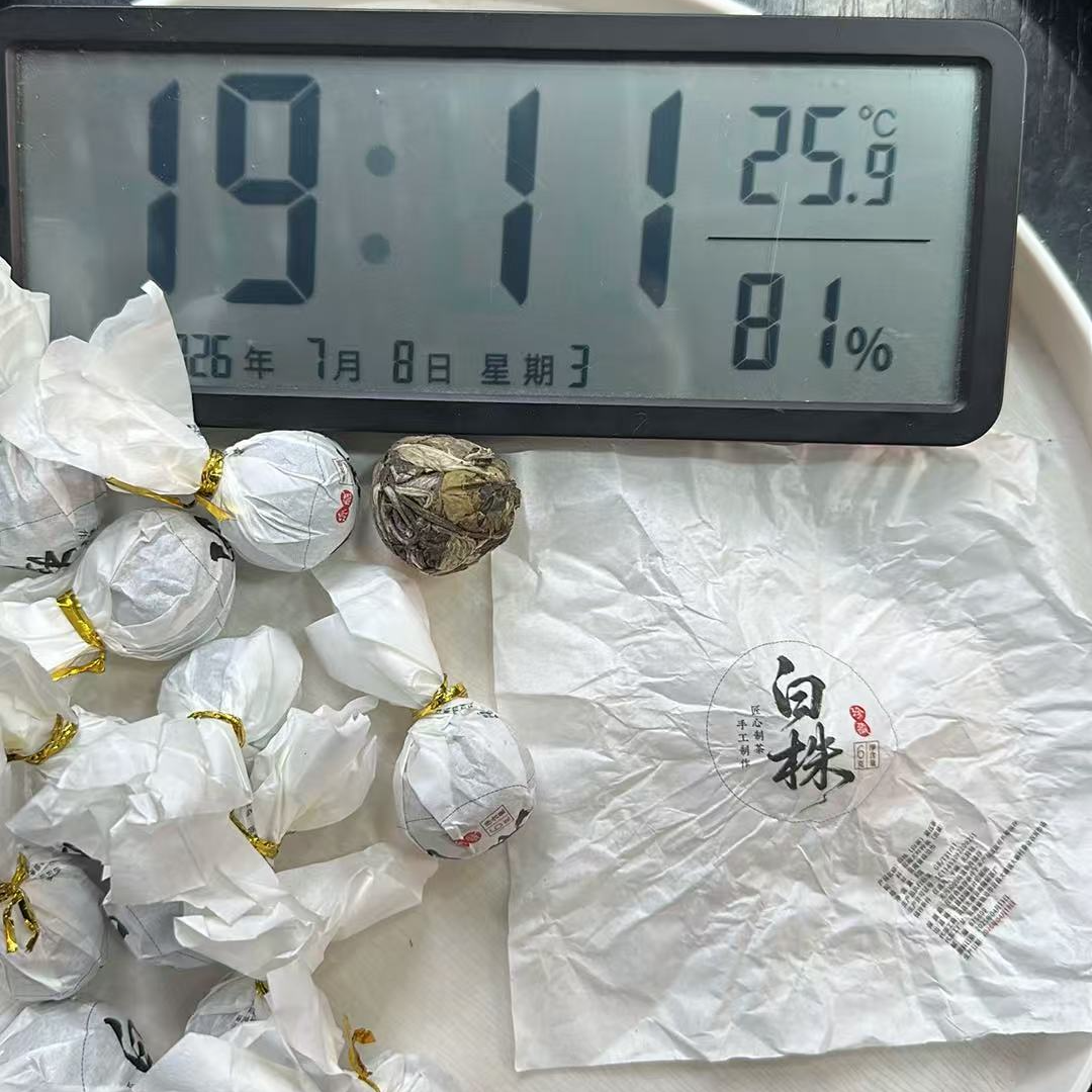85号 2025年春临沧牛马哥白株云南白茶龙珠6g/颗-0708001