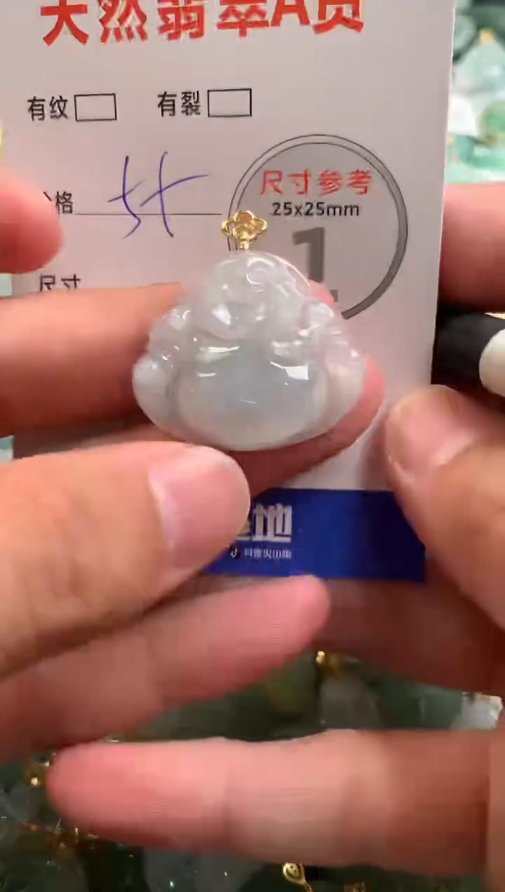 颈饰未镶嵌翡翠29101920