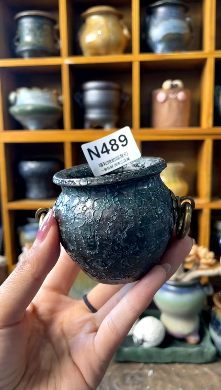 489内口4【多肉花盆多肉盆】