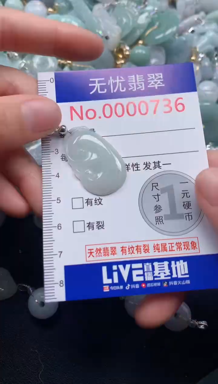颈饰未镶嵌翡翠736