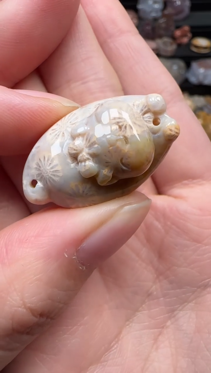 颈饰未镶嵌硅化珊瑚（珊瑚玉）734