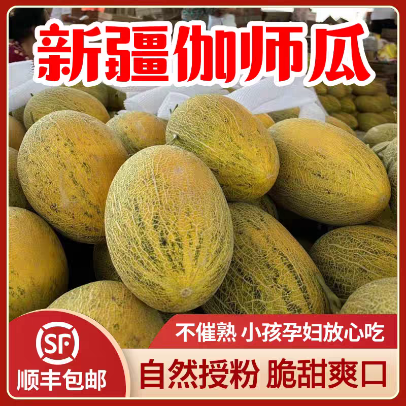 【顺丰包邮/新疆直发】正宗新疆伽师瓜八六王新鲜当季水果脆甜多汁