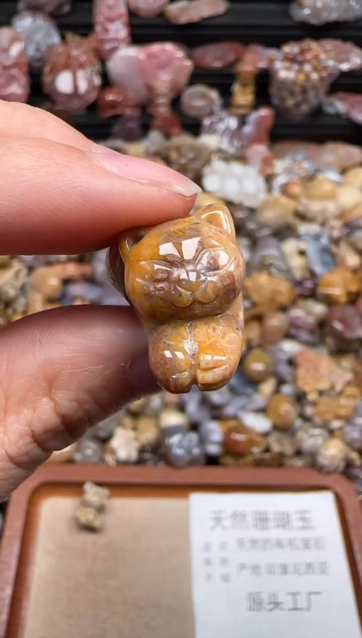 【闪购商品】硅化珊瑚（珊瑚玉）颈饰未镶嵌261