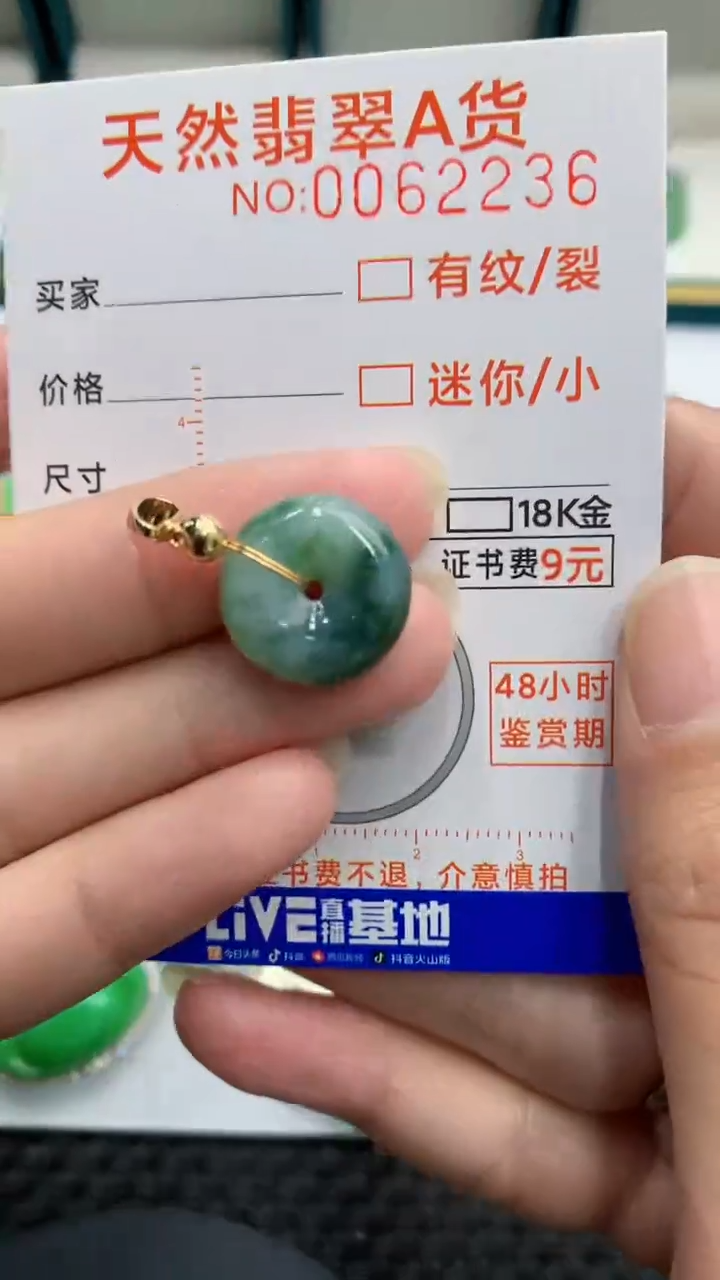 【闪购商品】翡翠颈饰未镶嵌            8