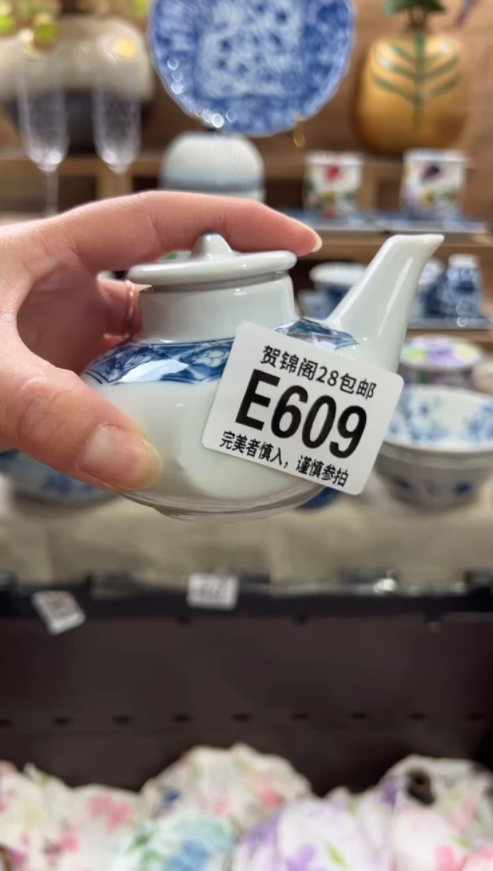 瓷片大**山       E609