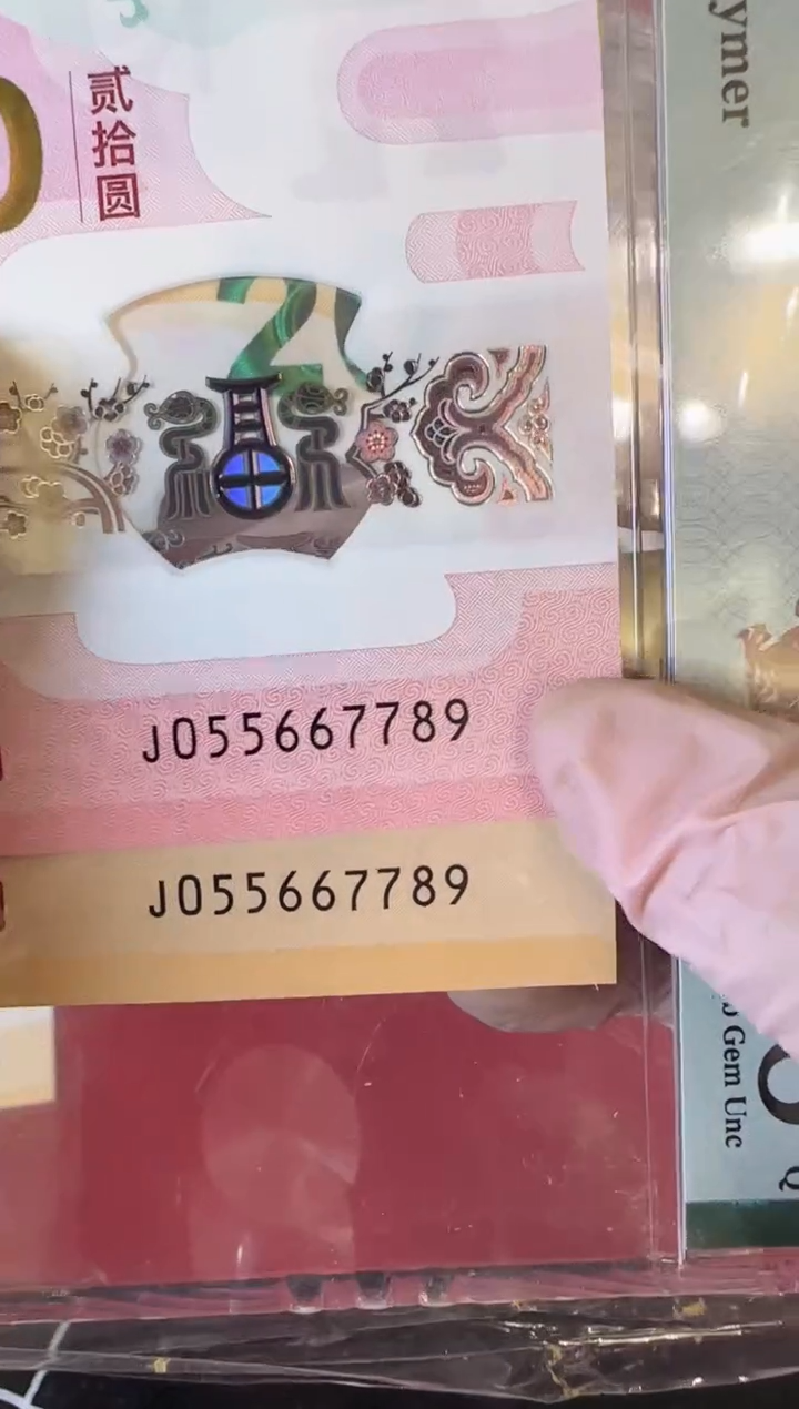 【闪购商品】塑料2025蛇钞全同号裸啊啊啊啊啊啊