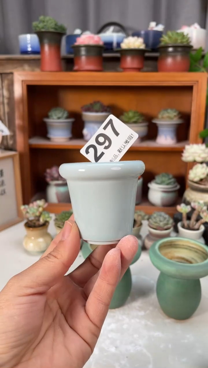 瓷片297小芳直播编号