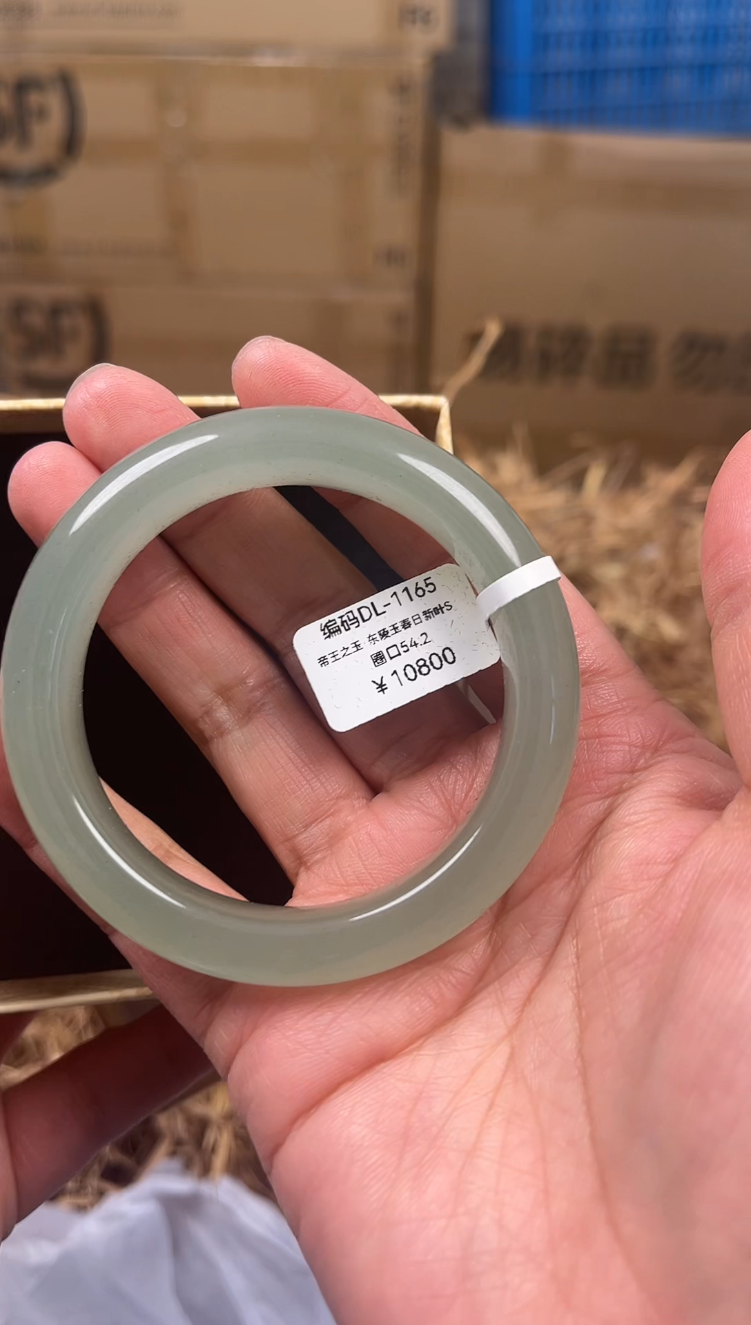 未镶嵌手镯石英质玉DL-1165
