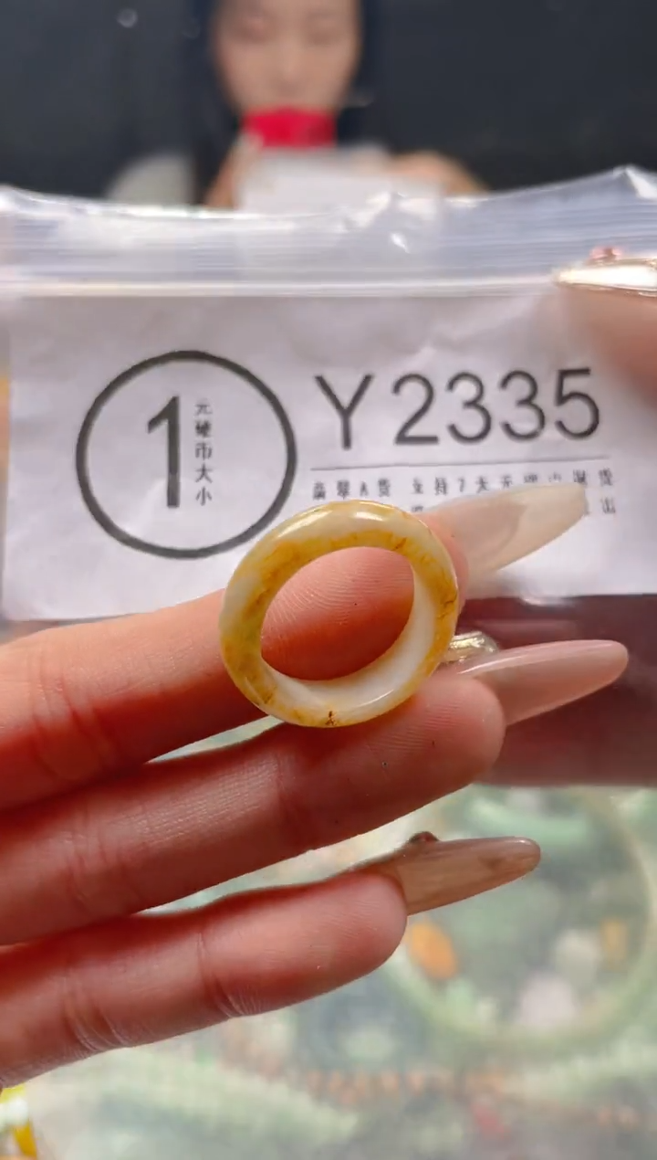 【闪购商品】翡翠颈饰未镶嵌17/Y/翡翠A货一图一物