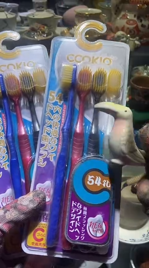 【闪购商品】瓷片1111111111111111