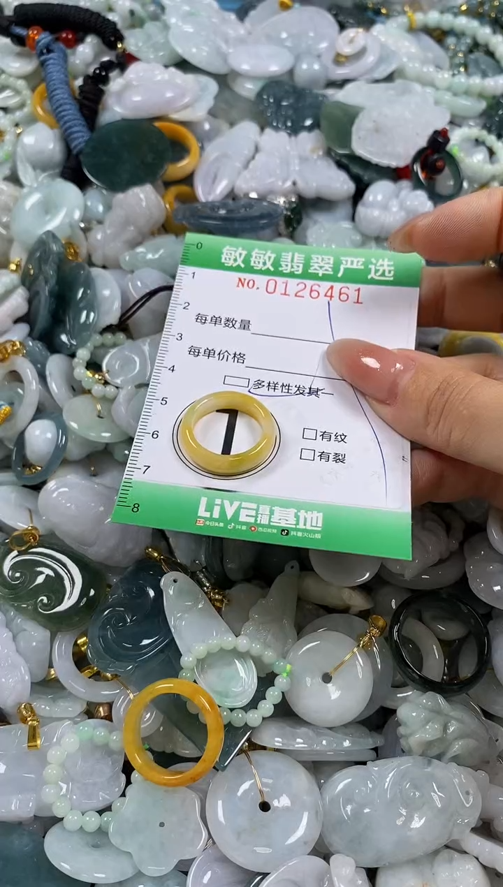 【闪购商品】翡翠颈饰未镶嵌闪购0126461