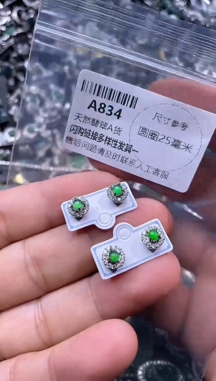 【闪购商品】翡翠颈饰未镶嵌A834耳钉 多样性发其一