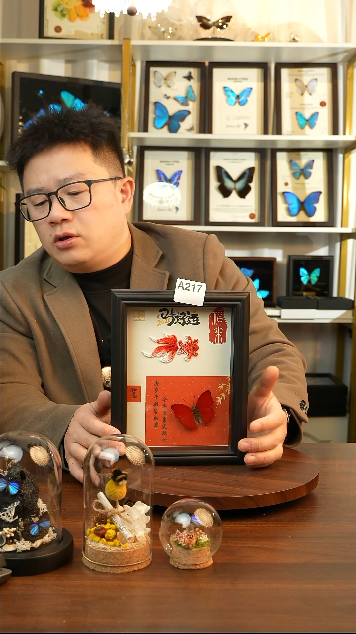 血漪蛱蝶新年款-（8寸方黑色新款框）A217