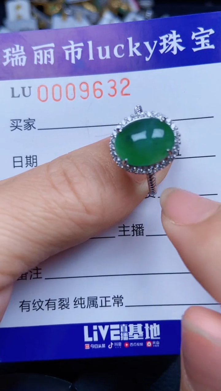 【闪购商品】翡翠颈饰银S925镶嵌9632