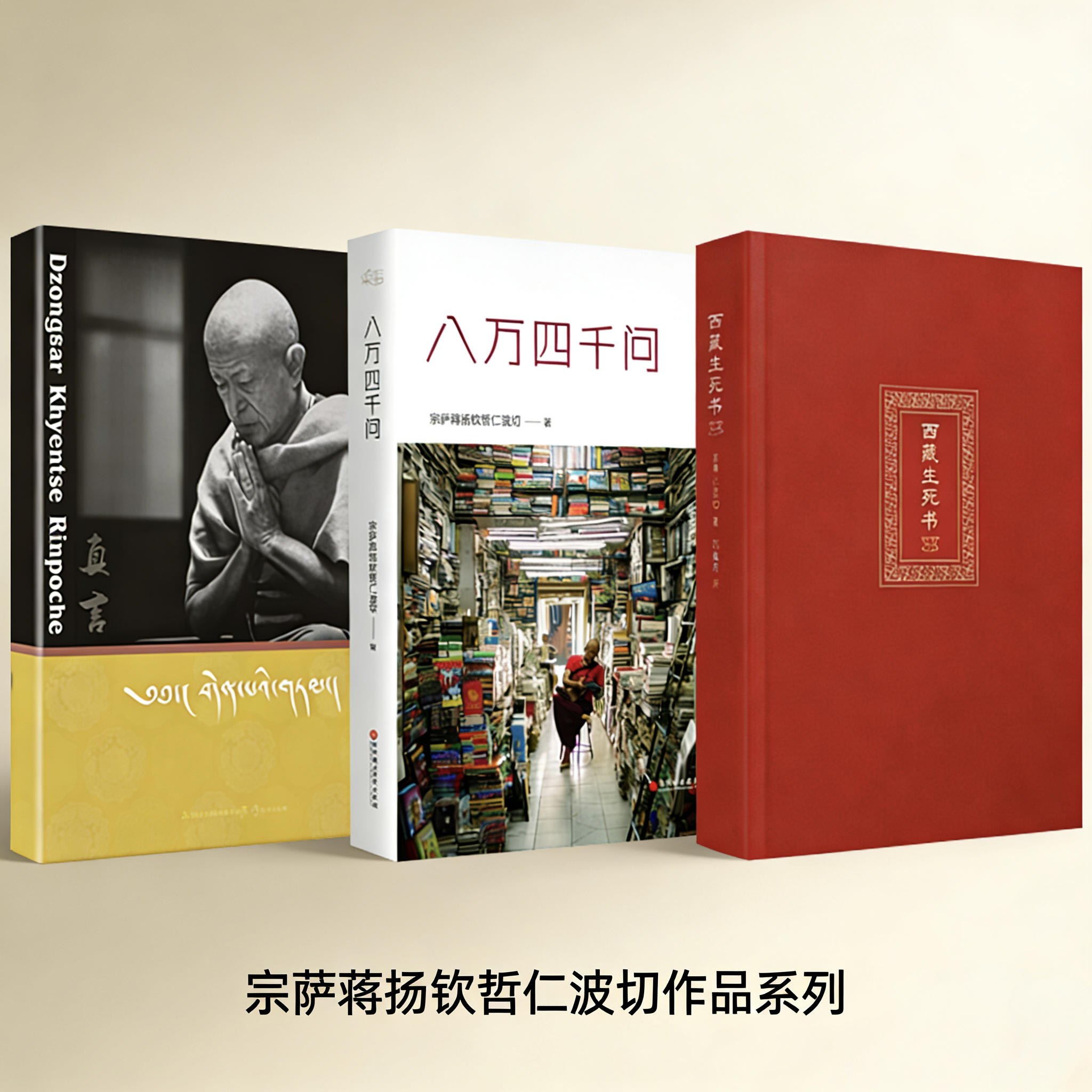 现货速发藏汉双语宗萨仁波切真言哲学佛教书籍