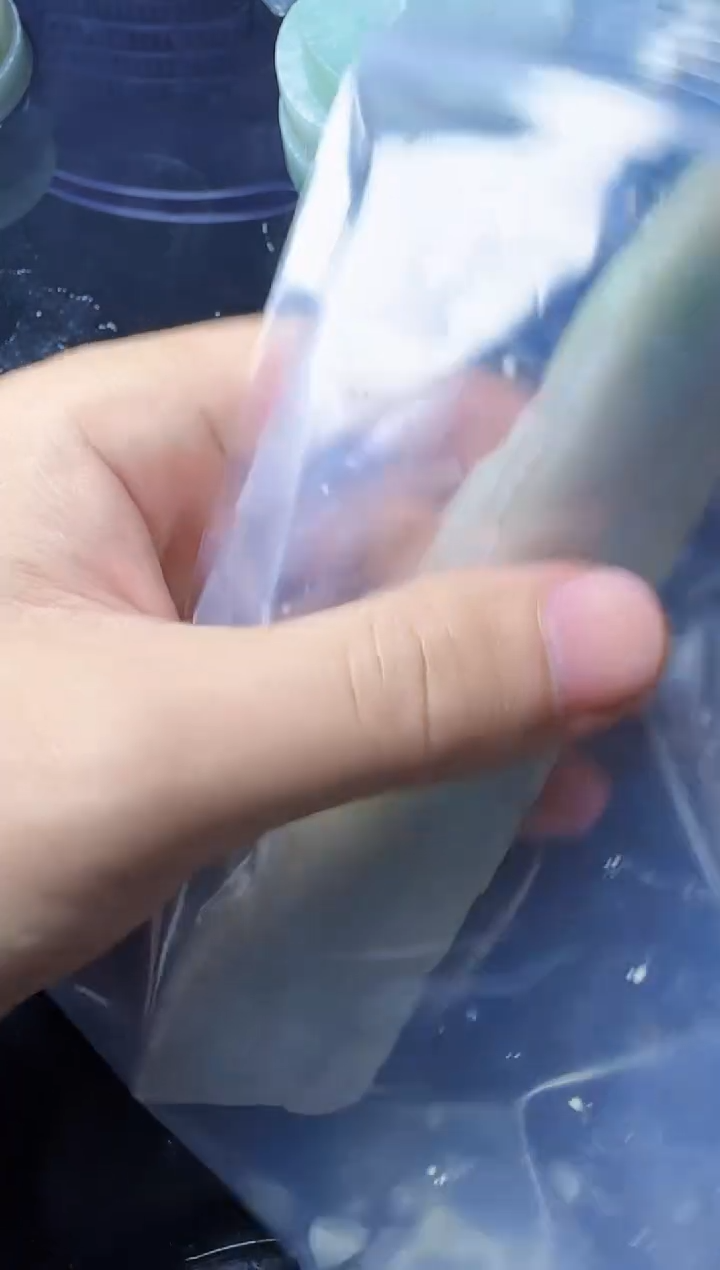 【闪购商品】翡翠颈饰未镶嵌304翡翠