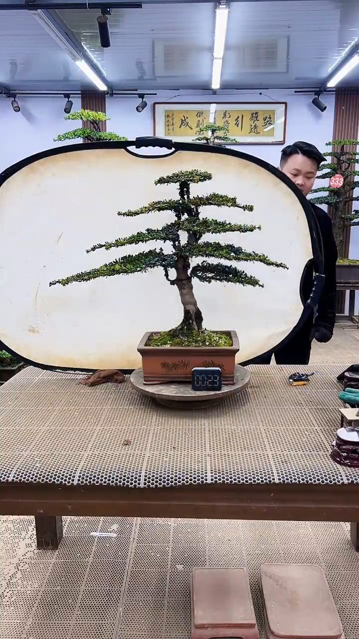 【闪购商品】000000000