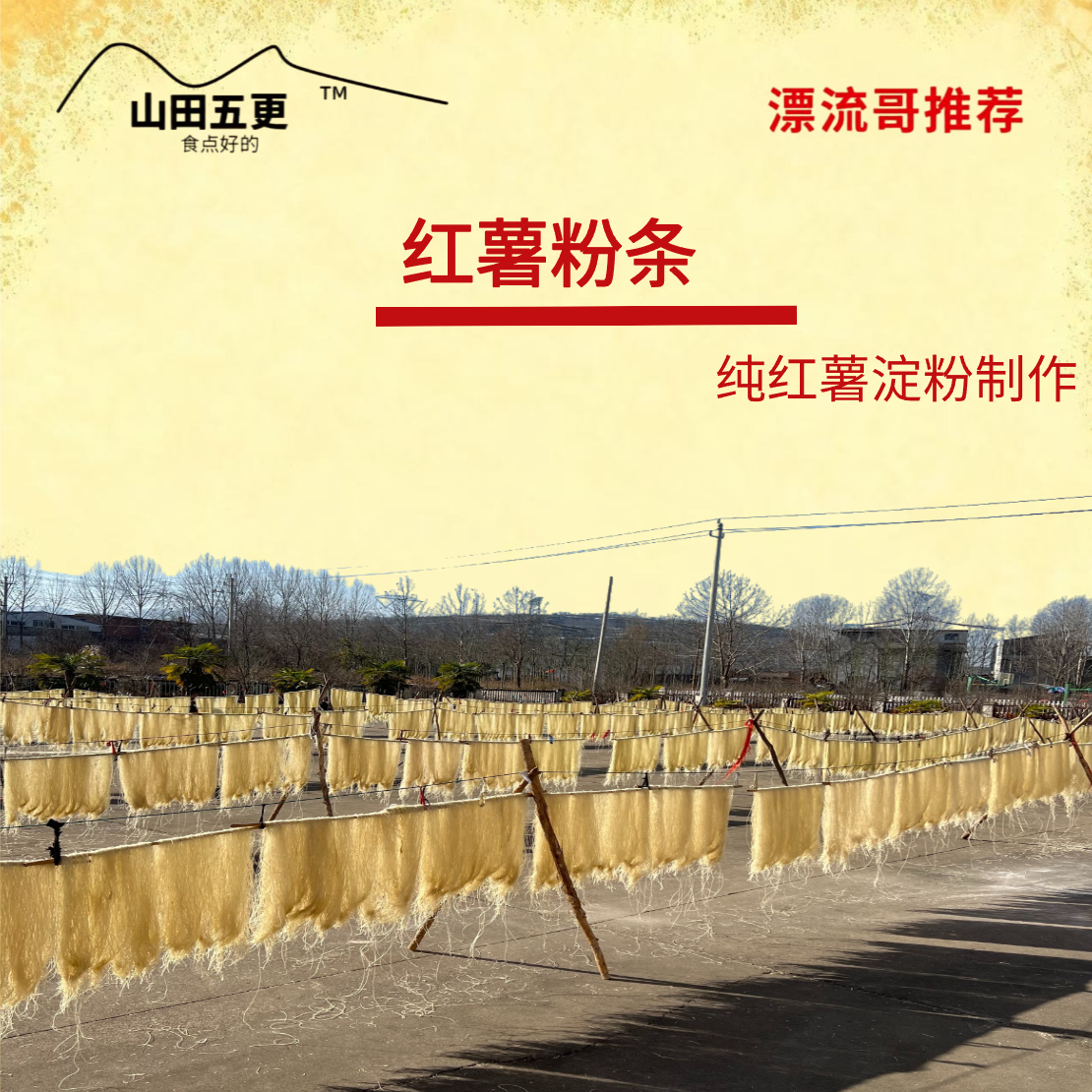 【漂流哥推荐】汝阳红薯粉条2025年正宗纯红薯粉条无矾0添加