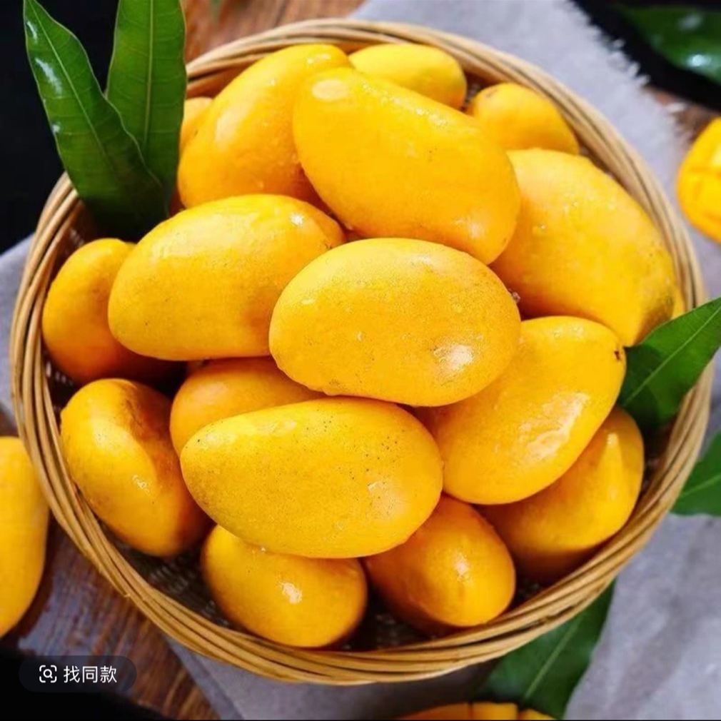 【全黄食用爆甜】TZC海南正宗小台农芒果应季新鲜热带水果芒果整箱