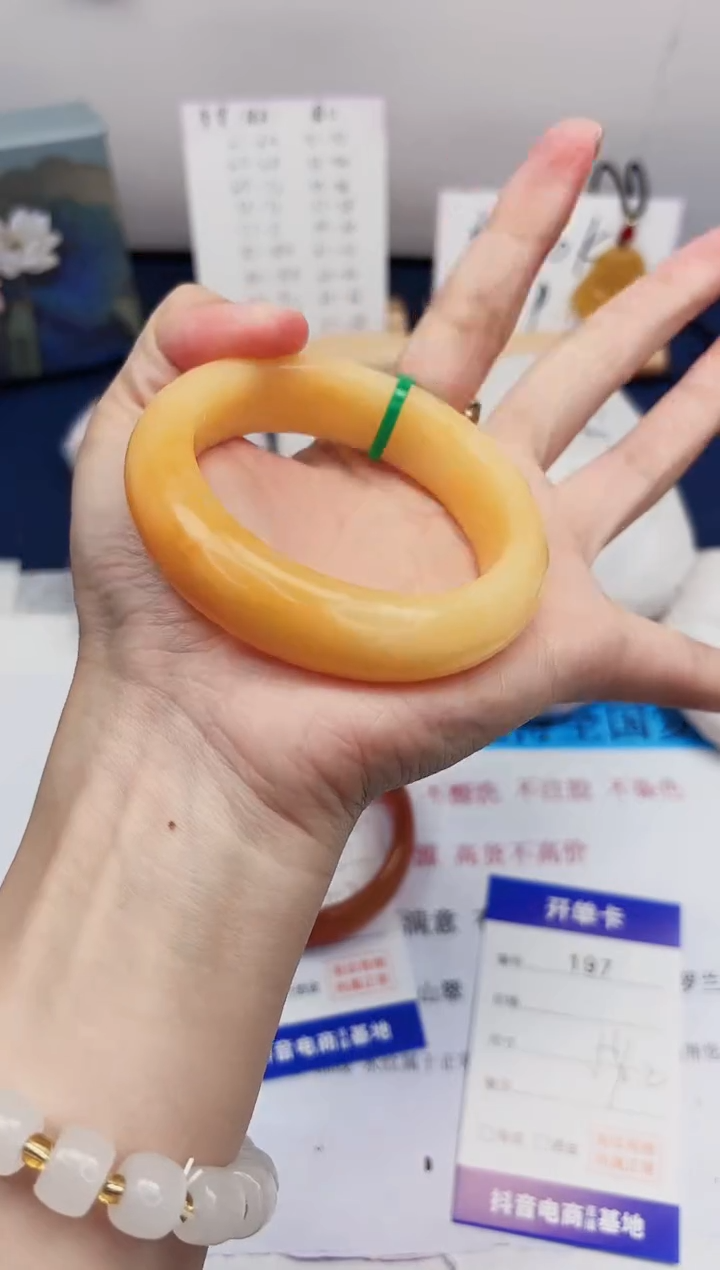 【闪购商品】石英质玉手镯未镶嵌197-财气镯-圈口54