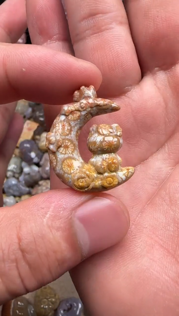 【闪购商品】硅化珊瑚（珊瑚玉）颈饰未镶嵌236