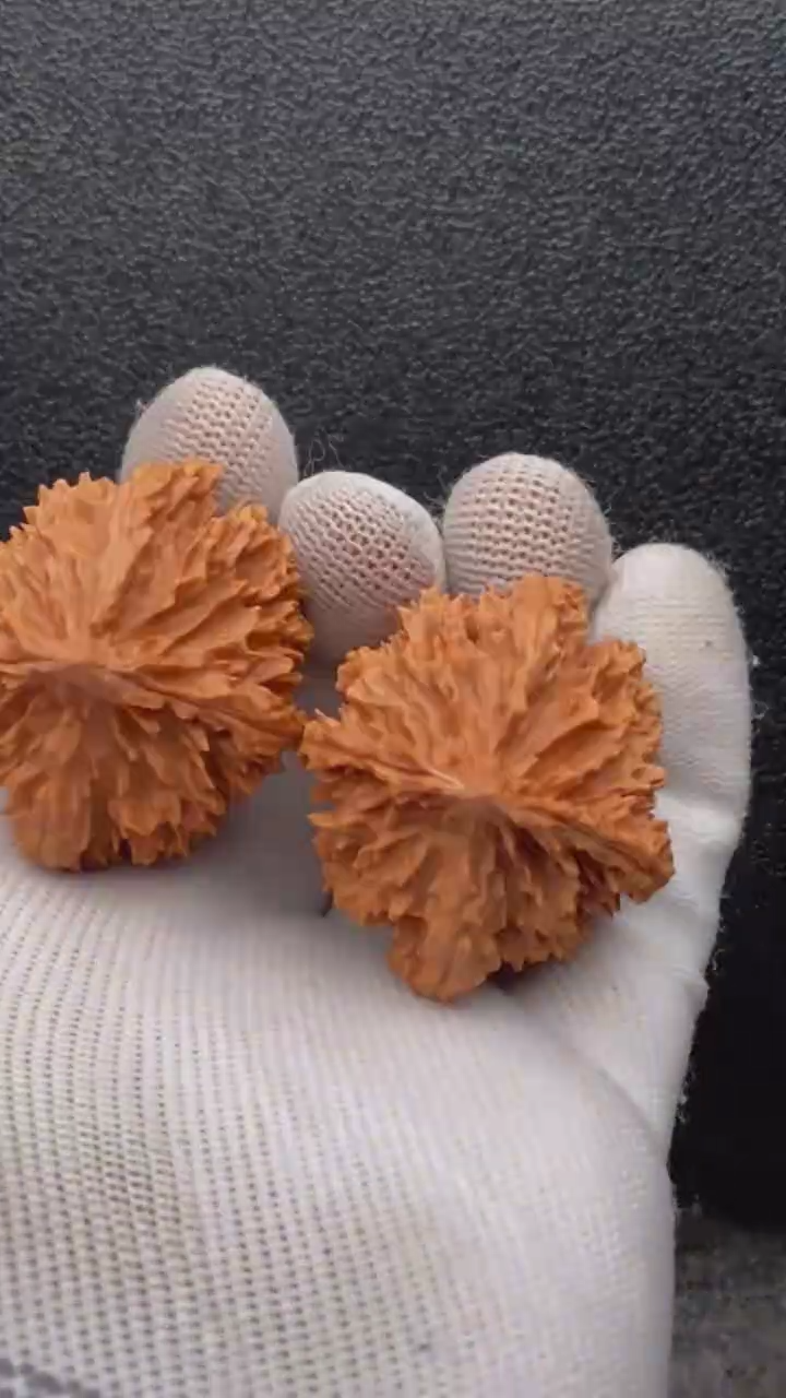 【闪购商品】文玩核桃把件花王1