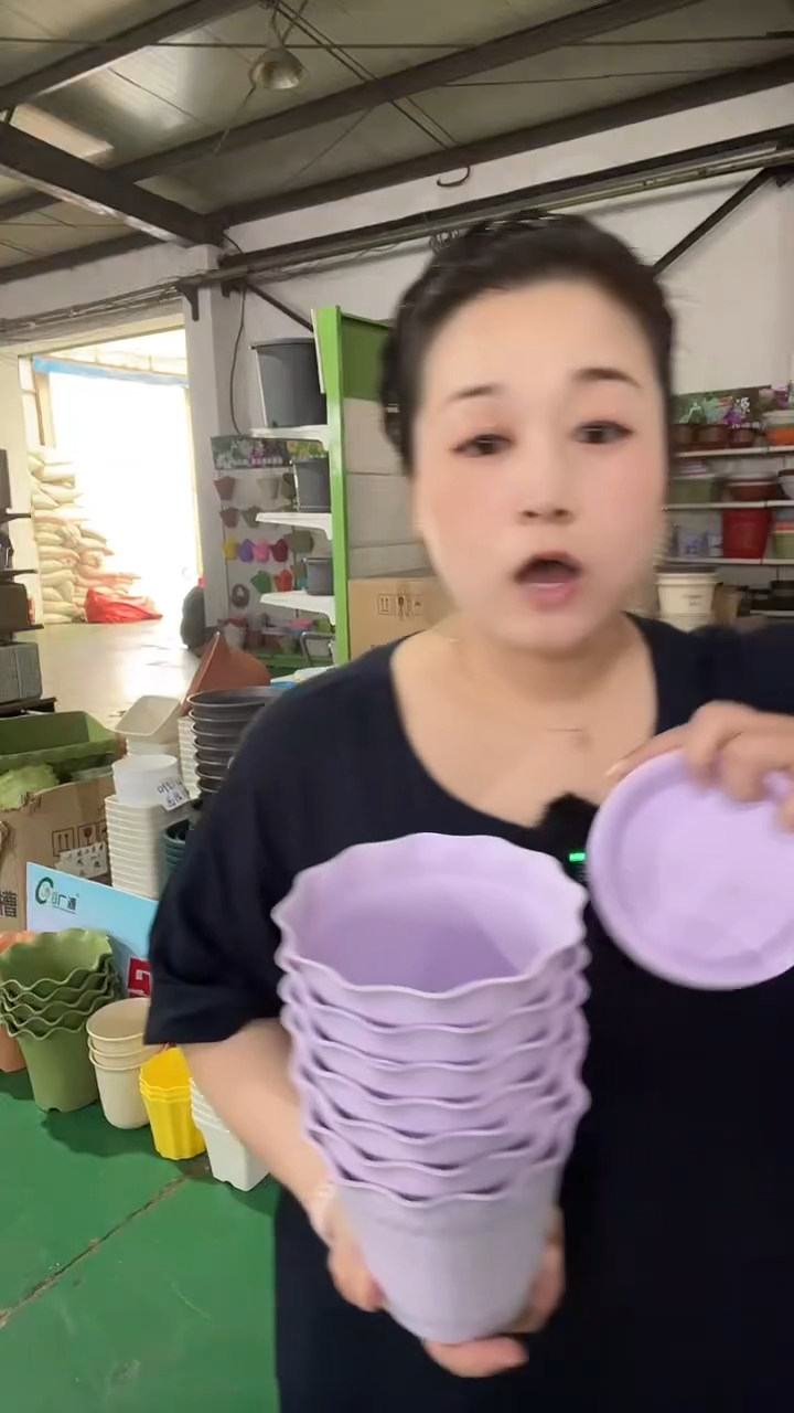 罗马盆紫色14口径五个带托盘