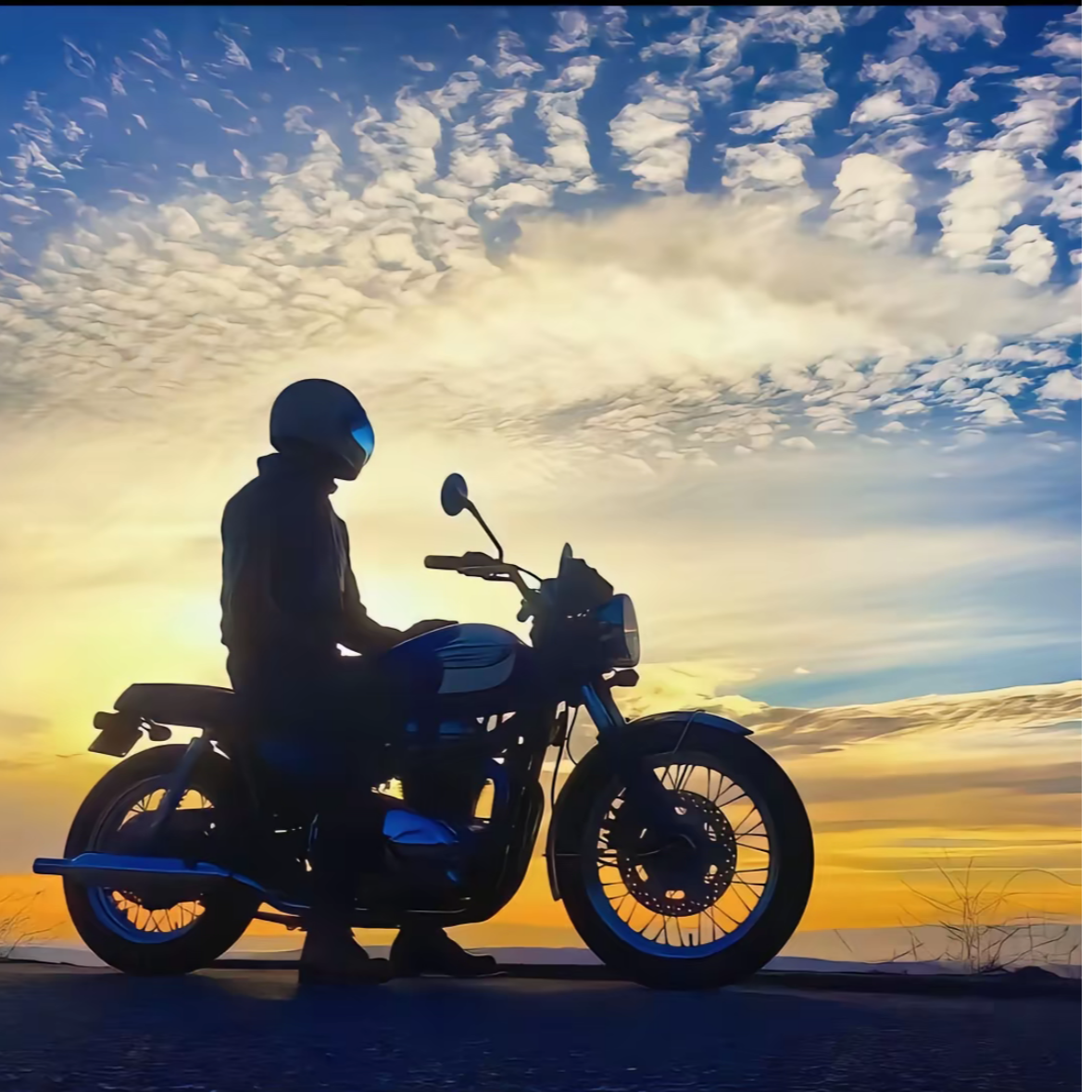 男女同款滑雪鹅绒服F