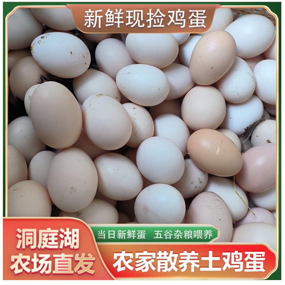 顺丰包邮50枚【纯绿/粉绿各半】黑凤鸡蛋原生态散养五谷喂养可生食