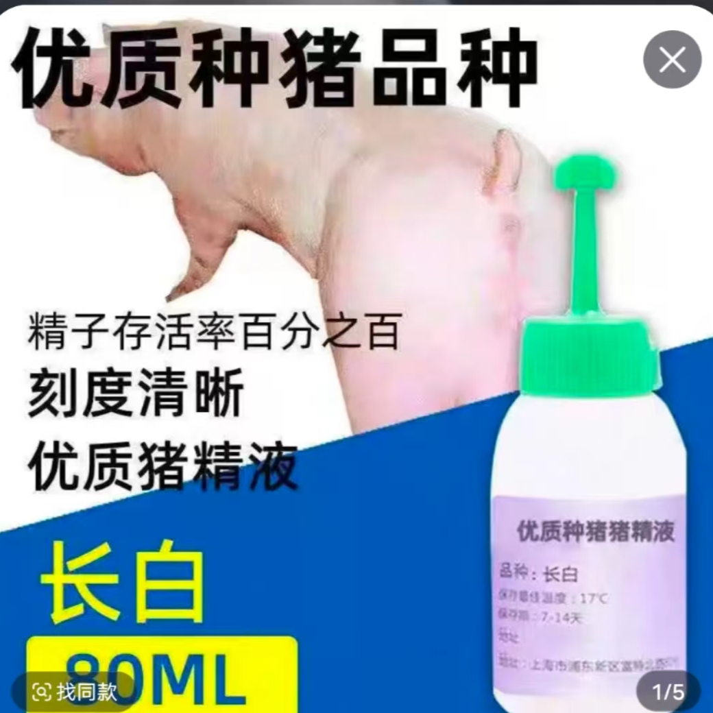 长白种公猪精液人工授精专用高效配种