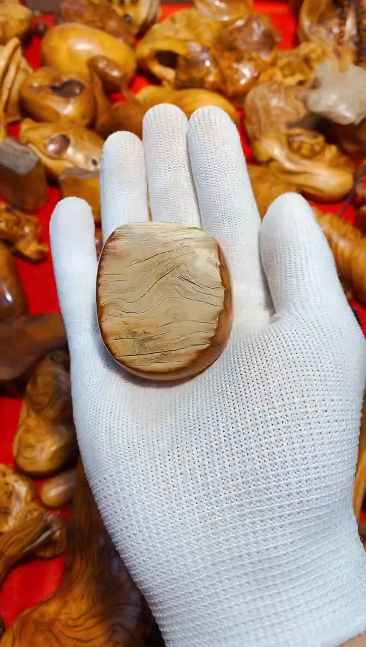 【闪购商品】柏木34崖柏崖柏崖柏